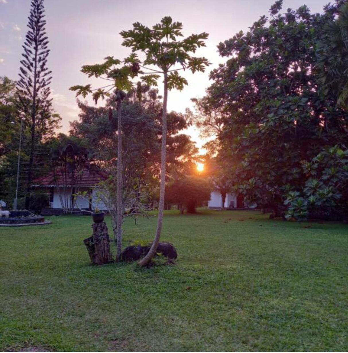 Subodinee Bungalow Weligama Εξωτερικό φωτογραφία